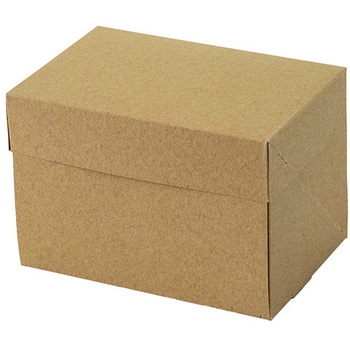 A70920 CP 105 �p�b�P�[�W���V 66703081