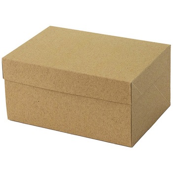 A70940 CP 105 �p�b�P�[�W���V 66703099