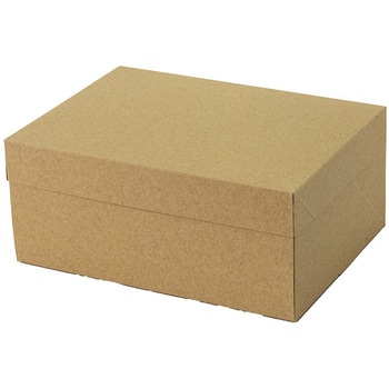 A70950 CP 105 �p�b�P�[�W���V 66703108