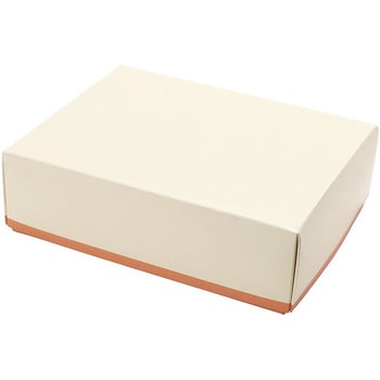 B10310 }CP[X pbP[WV 65mm160mmc200mm 1(100) B10310 66703878