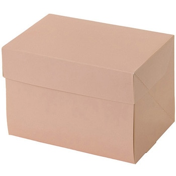 A70520 CP 105 �p�b�P�[�W���V 66704359