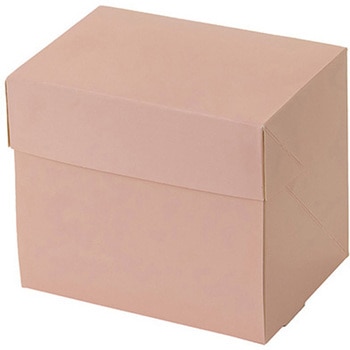 A70510 CP 105 �p�b�P�[�W���V 66704438