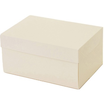 A70340 CP 105 �p�b�P�[�W���V 66704456