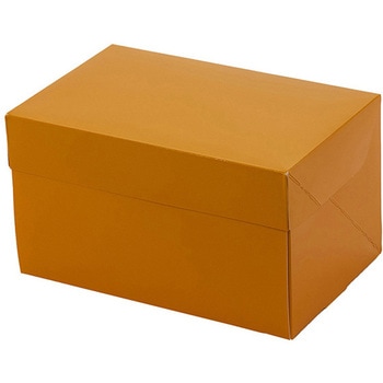 A70430 CP 105 �p�b�P�[�W���V 66704508