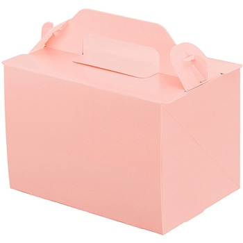 105 OPL パッケージ中澤