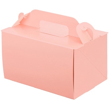 105 OPL パッケージ中澤