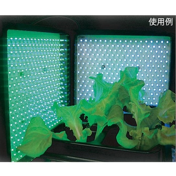 植物育成用LED照明ユニット ISL-150X150シリーズ CCS(シーシーエス)