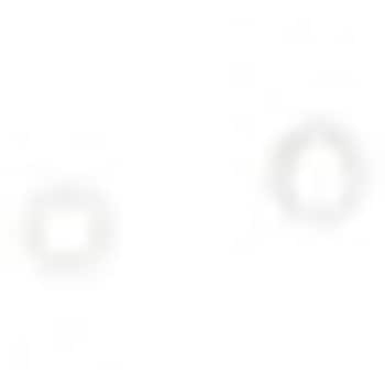 The hangers ランドリーハンガー52P シービージャパン