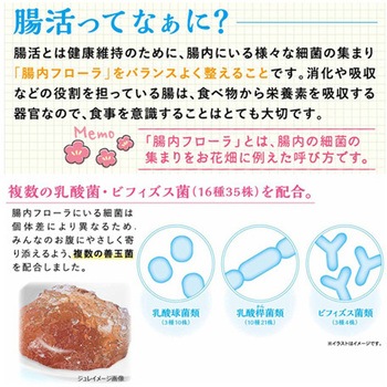 腸活生活 ウサちゃんジュレ 3g×10個 ドギーマン