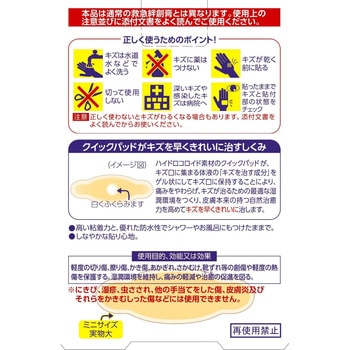 デルガード クイックパッド 阿蘇製薬