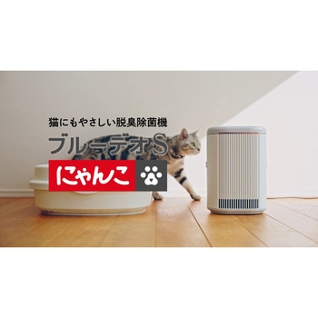 ブルーデオSにゃんこモデル マスクフジコー