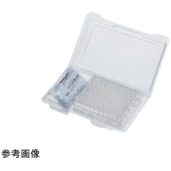 仕様認証付スクリューバイアルキット ラベル付 2mL 100組 6AKシリーズ Thermo Fisher Scientific