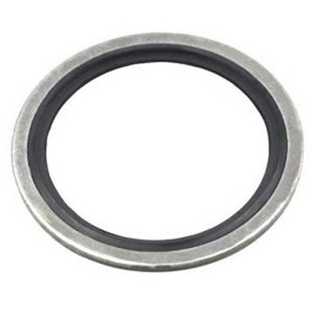 Bague Bs D 41 30 - BSP 1.1/4 - BOLT 1.5/ 1袋 10個入 - Hutchinson