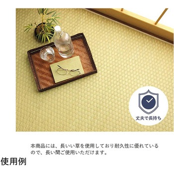 上敷き ゴザ 敷詰 カーペット い草 自然素材 日本製 消臭 ナチュラル 市松柄 - イケヒコ・コーポレーション
