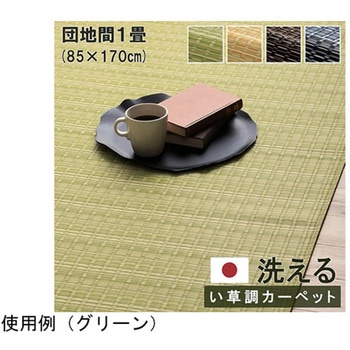 洗える カーペット ラグ 国産 除菌スプレー対応 アウトドア ペット イケヒコ・コーポレーション