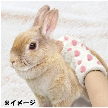 ウサギのナデナデブラシ ドギーマン