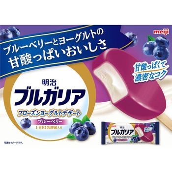 [冷凍]ブルガリア フローズンヨーグルトデザート ブルーベリー 明治