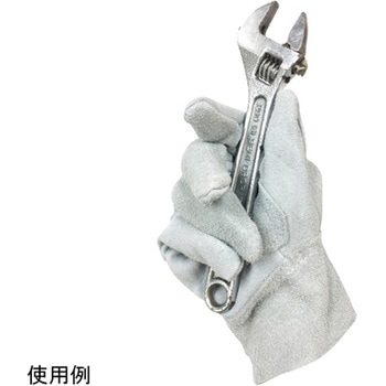 AG3007 �����v��� �G�R�m�~�[ �w�D�� 12�o�� ACE(�G�[�X) 67062024