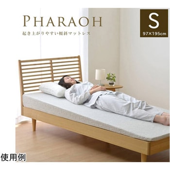 送料込&匿名配送 背上げマット「ラクーイ10度」安心の日本製 傾斜