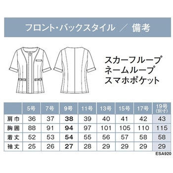 ENJOY ESA920 美スラッと CLASS オーバーブラウス カーシーカシマ