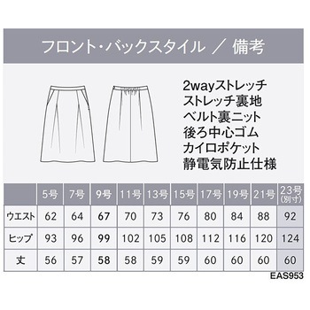 ENJOY EAS953 CLASSICA タックフレアスカート カーシーカシマ