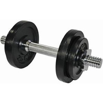 ダンベル10kg セット Be Active(ビーアクティブ)