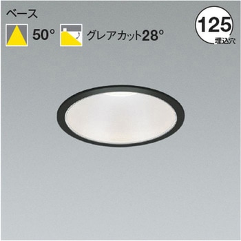 AD52919 100-242V�Ή� �d����̌^ �_�E�����C�g �V���o�[�R�[�� �R�C�Y�~(���򐬊�) ���� �x�[�X�^�C�v Ra82 4000K ������ ���F �z���p�x50�� ��������125��mm  AD52919 67277957