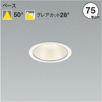 AD53464 100-242V�Ή� �d����̌^ �_�E�����C�g �V���o�[�R�[�� �R�C�Y�~(���򐬊�) ���� �x�[�X�^�C�v �z���p�x50�� 3500K �����F �N���X600lm �t�@�C���z���C�g�F  AD53464 67278955