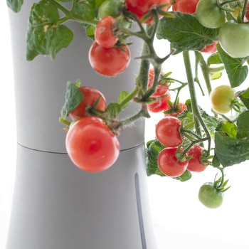 自動で水やり、手間なく育てるスマートプランター BOTANIUM