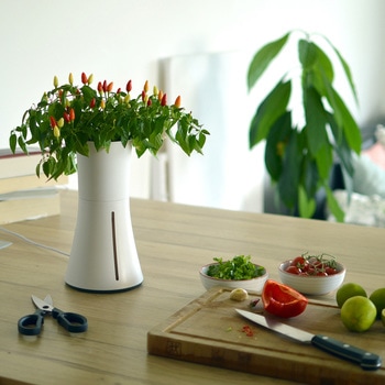 自動で水やり、手間なく育てるスマートプランター BOTANIUM