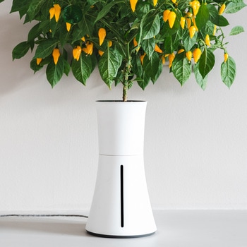 自動で水やり、手間なく育てるスマートプランター BOTANIUM