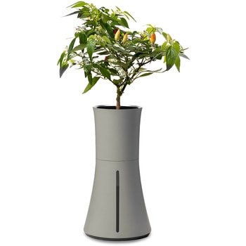 自動で水やり、手間なく育てるスマートプランター BOTANIUM