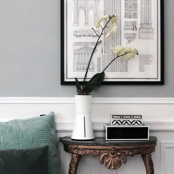 自動で水やり、手間なく育てるスマートプランター BOTANIUM