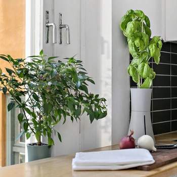 自動で水やり、手間なく育てるスマートプランター BOTANIUM