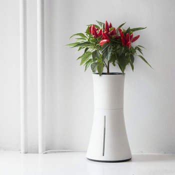 自動で水やり、手間なく育てるスマートプランター BOTANIUM