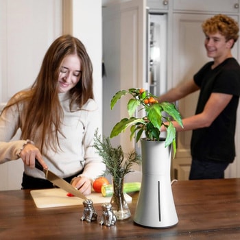 自動で水やり、手間なく育てるスマートプランター BOTANIUM