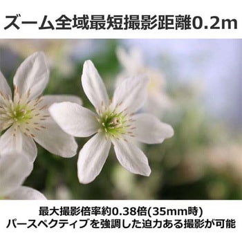 RFレンズ RF14-35mm F4 L IS USM Canon