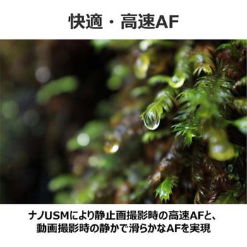 RFレンズ RF14-35mm F4 L IS USM Canon