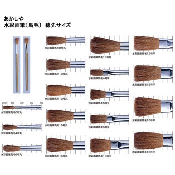 水彩画筆 馬毛 Cセット (丸筆0号・平筆6号・丸筆12号) あかしや