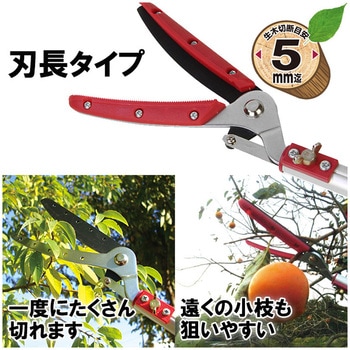 軽量伸縮高枝切鋏2段 千吉