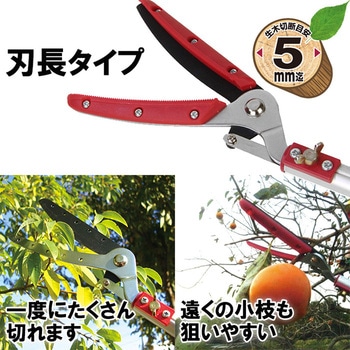 軽量伸縮高枝切鋏2段 千吉