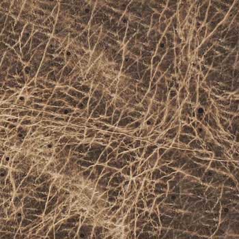 NB-51 RUSSTEY LEATHER �؊v(�j�u���b�N) AZM-NB �A�Y�} 140�f�V�T�C�Y 1�� NB-51 67411015