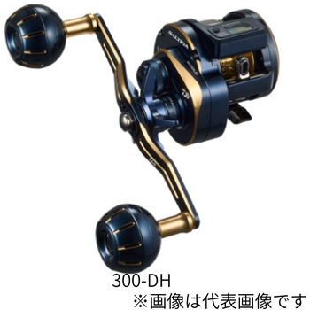 300-DH 21 �\���e�B�KIC DAIWA(�_�C��) 67660961