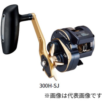300HL-SJ 21 �\���e�B�KIC DAIWA(�_�C��) 67660988
