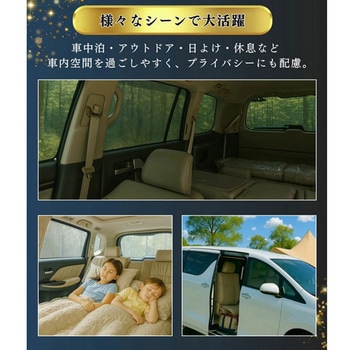 レーザーシェード アクア NHP10 NHP10H 1セット(5枚) PROTECTA 【通販