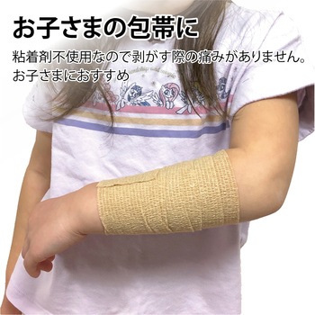 タケトラ ピタッとタイ 竹虎
