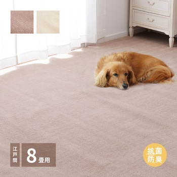 600094680 Y ~l RۃJ[ybg VG  AC{[F 67915535