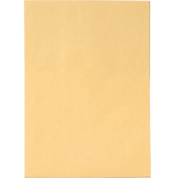 保存袋 角1対応 120G マチ付 マルアイ