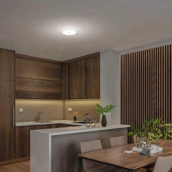 小型シーリングライト 薄形 昼光色 アイリスオーヤマ