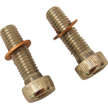 Drag Specialties SCREWS W/WSHRS DMPR TB | C23-0237NU-2 - DRAG SPECIALTIES(ドラッグスペシャリティーズ)